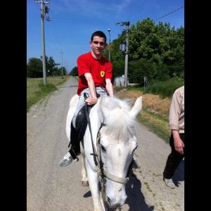 Cavallo Scaled 300 300